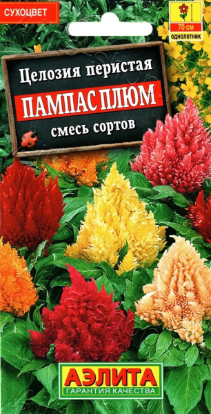 Целозия перистая Пампас Плюм смесь АЭ 0,3г Целозия перистая Пампас Плюм смесь АЭ 0,3г