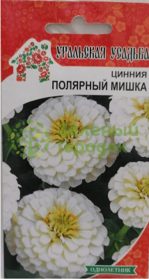 Цинния георгиноцветковая Полярный Мишка УУ