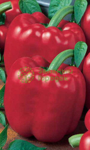 Перец сладкий Калифорнийское Чудо (Марс) белый пакет 0,25г