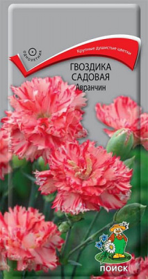 Гвоздика садовая Авранчин (ЦВ) 0,1г
