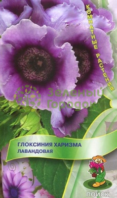 Глоксиния Харизма Лавандовая 5шт Глоксиния Харизма Лавандовая 5шт