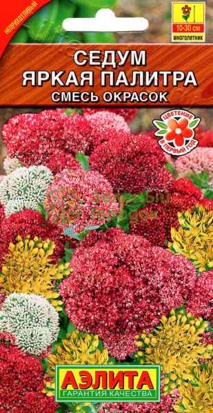 Седум Яркая палитра смесь АЭ 0,01г