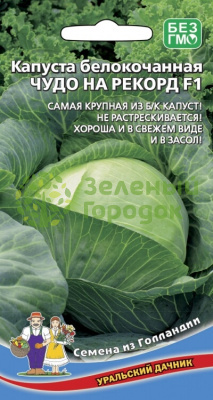 Капуста б/к Чудо на рекорд F1 УД 0,3г Капуста б/к Чудо на рекорд F1 УД 0,3г
