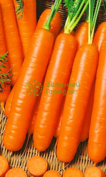 Морковь Карамель Красная (Марс) белый пакет 1г