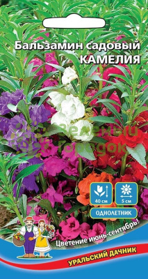 Бальзамин Камелия УД 12шт