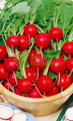 Редис Снегирек (Марс) белый пакет 3г Редис Снегирек (Марс) белый пакет 3г