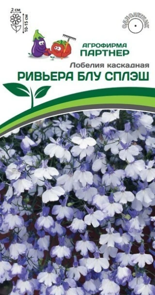 Лобелия РИВЬЕРА БЛУ СПЛЭШ каскадная 10шт в амп (снова в продаже)