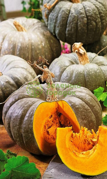 Тыква Лечебная крупноплодная (Марс) белый пакет 2г