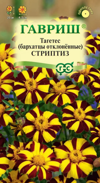 Бархатцы Стриптиз отклоненные (тагетес) ГВ 0,3г