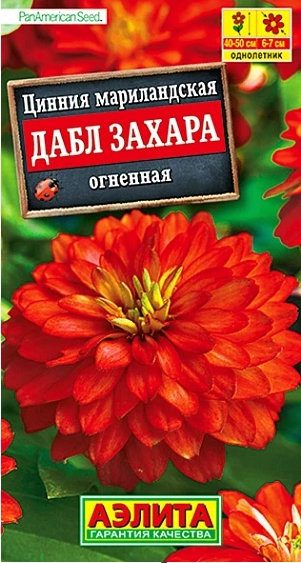 Цинния Дабл Захара огненная мариландская АЭ 5шт
