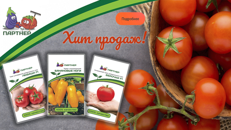 Популярные семена овощей