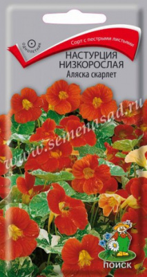 Настурция низкорослая Аляска скарлет (ЦВ) 1г Настурция низкорослая Аляска скарлет (ЦВ) 1г