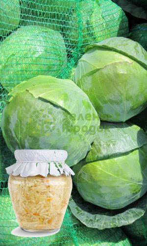 Капуста б/к Засолочная (Марс) белый пакет 0,3г