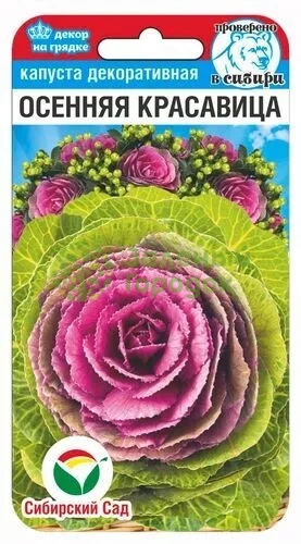 Капуста декоративняа Осенняя красавица СИБ 10шт Капуста декоративняа Осенняя красавица СИБ 10шт