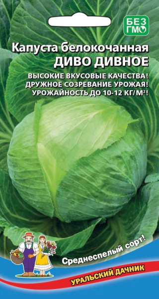 Капуста б/к Диво дивное УД Капуста б/к Диво дивное УД