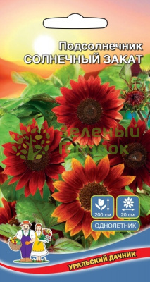Подсолнечник Солнечный Закат УД
