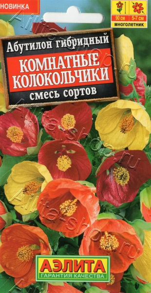 Абутилон Комнатные колокольчики смесь сортов АЭ 15шт Абутилон Комнатные колокольчики смесь сортов АЭ 15шт