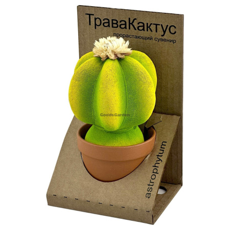 Травянчик купить в Минске - Растущая игрушка сувенир с травой в ...