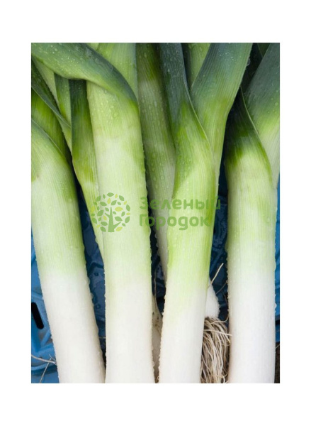 Лук порей Премьер (Марс) белый пакет 0,3г
