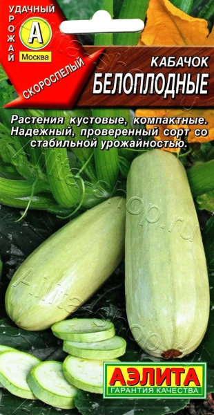 Кабачок Белоплодные АЭ 2г Кабачок Белоплодные АЭ 2г