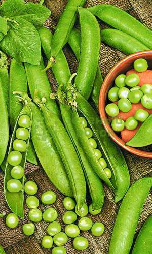 Горох Сладкая лакомка (Марс) белый пакет 8г