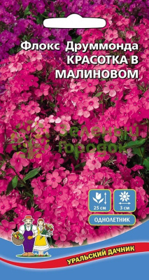 Флокс друммонда Красотка в Малиновом УД 0,1г Флокс друммонда Красотка в Малиновом УД 0,1г