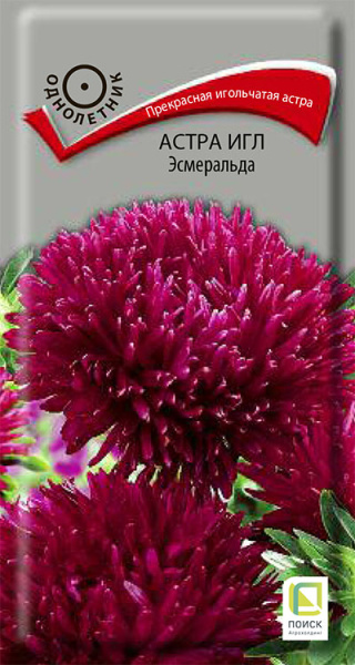 Астра игл Эсмеральда (ЦВ) 0,2г Астра игл Эсмеральда (ЦВ) 0,2г