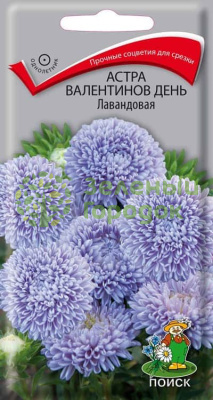 Астра Валентинов день Лавандовая (ЦВ) 0,2г Астра Валентинов день Лавандовая (ЦВ) 0,2г