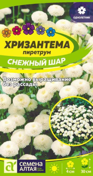 Хризантема Снежный шар пиретрум SA 0,01г