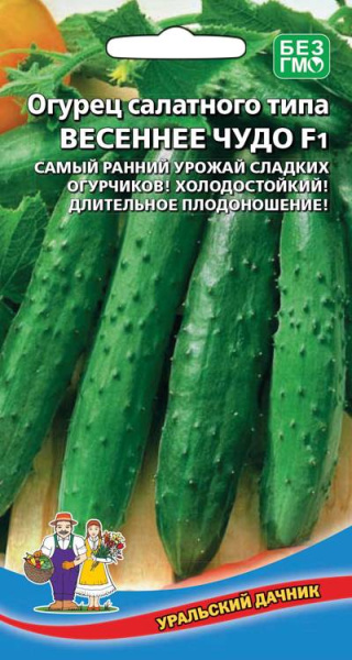 Огурец Весеннее чудо F1 салатного типа УД 10шт Огурец Весеннее чудо F1 салатного типа УД 10шт