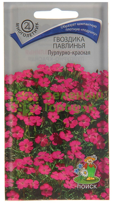 Гвоздика Павлинья Пурпурно-красная (ЦВ) 0,05г
