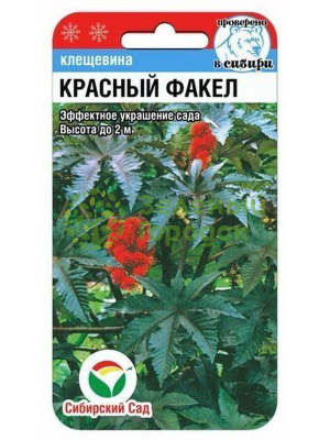 Клещевина Красный факел СИБ 5шт Клещевина Красный факел СИБ 5шт