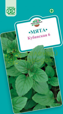 Мята перечная Кубанская 6 ГВ 0,05г Мята перечная Кубанская 6 ГВ 0,05г