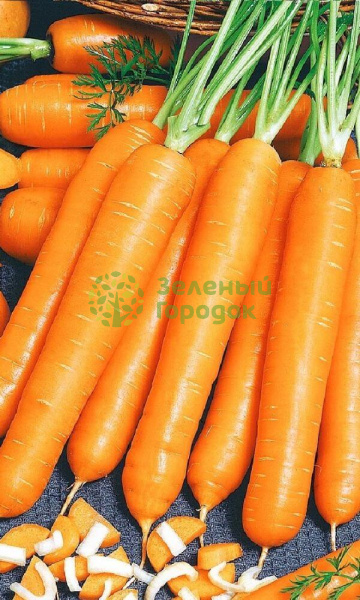 Морковь Витаминная 6 (Марс) белый пакет 1500шт