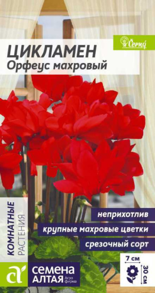 Цикламен Орфеус махровый SA 3шт Цикламен Орфеус махровый SA 3шт