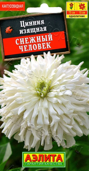 Цинния Снежный человек кактусовидная АЭ 0,2г Цинния Снежный человек кактусовидная АЭ 0,2г