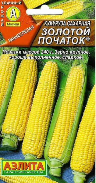 Кукуруза Золотой початок сахарная АЭ 7г