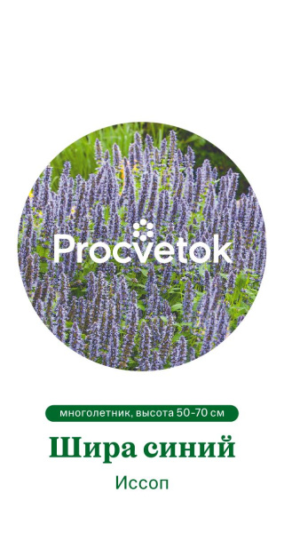 Иссоп Шира синий Германия Pro 0,4г Иссоп Шира синий Германия Pro 0,4г