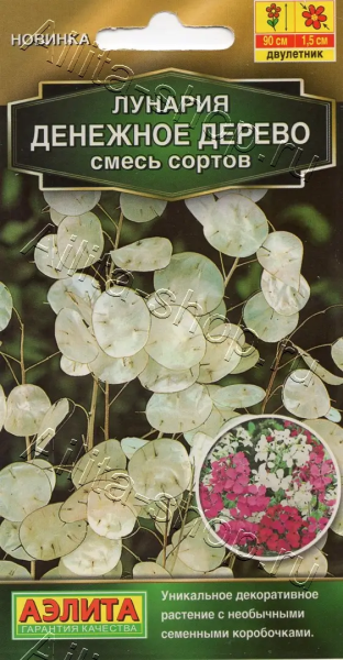 Лунария Денежное дерево, смесь сортов АЭ 0,3г
