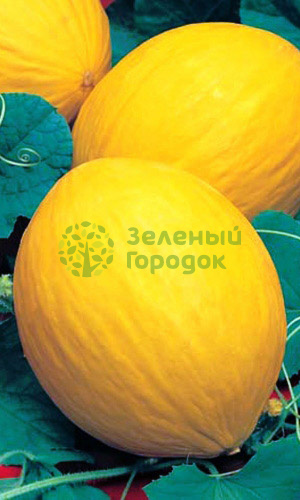 Дыня Колхозница 749/753 (Марс) белый пакет 0,5г Дыня Колхозница 749/753 (Марс) белый пакет 0,5г