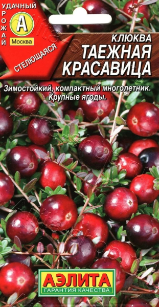 Клюква крупноплодная Таежная красавица АЭ 0,02г Клюква крупноплодная Таежная красавица АЭ 0,02г