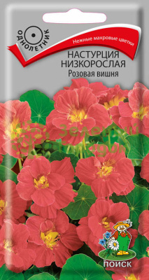 Настурция низкорослая Розовая вишня (ЦВ) 1г Настурция низкорослая Розовая вишня (ЦВ) 1г