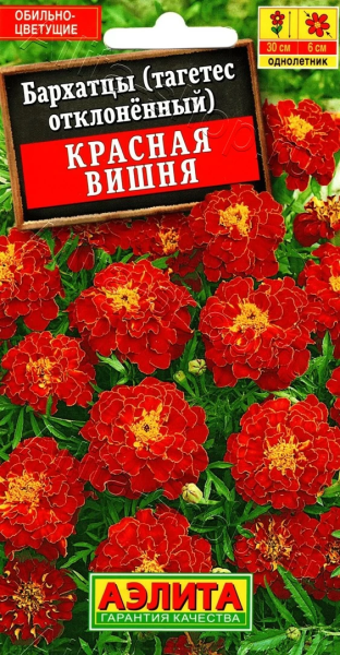 Бархатцы Красная вишня отклоненные АЭ 0,3г