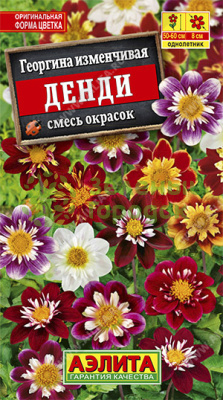 Георгина Денди, смесь сортов АЭ 0,3г