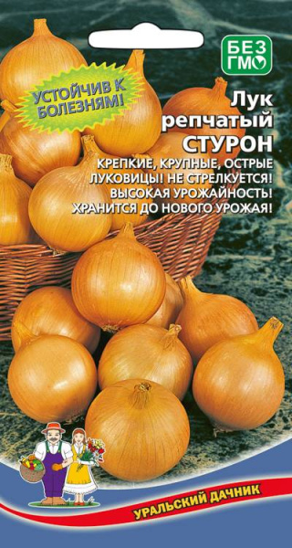 Лук репчатый Стурон УД Лук репчатый Стурон УД