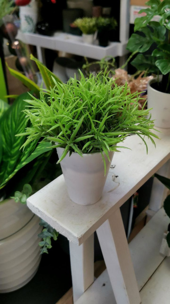 Искусств.растение в горшке (18 см, асс/4), пластик, арт. 317002070 (только самовывоз)