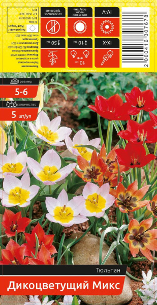 Тюльпан MIX WILD FLOWERING 5-6 каперс 5шт/уп (уценка, только самовывоз)