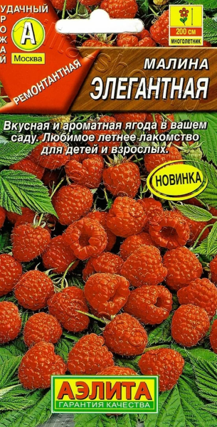 Малина Элегантная АЭ 20шт