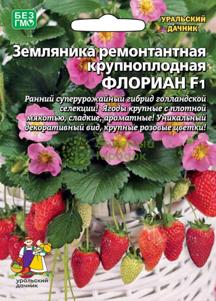 Земляника Флориан F1 ремонтантная УД Б/Ф 5шт Земляника Флориан F1 ремонтантная УД Б/Ф 5шт