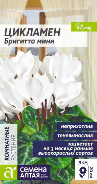 Цикламен Бригитта мини SA 3шт Цикламен Бригитта мини SA 3шт